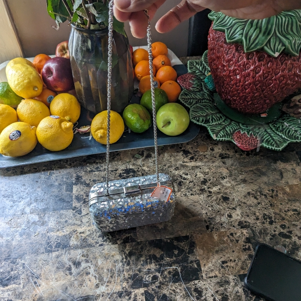 Brand new never used mini silver bag